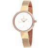 Wholesale ❤️ Christian Van Sant 👩 Women's Silver dial ⌚ Watch 🧨